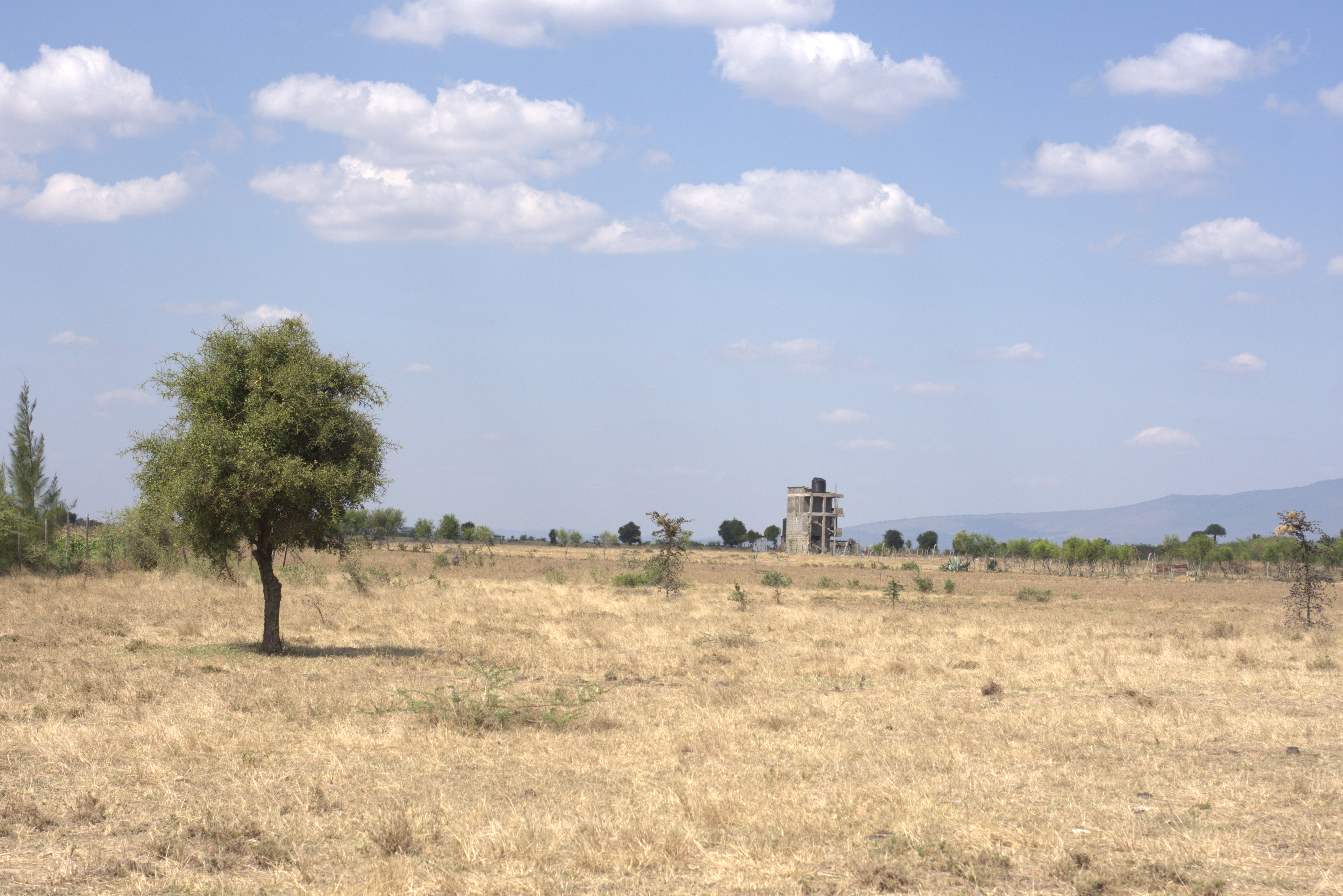Mwalimu Farm 5